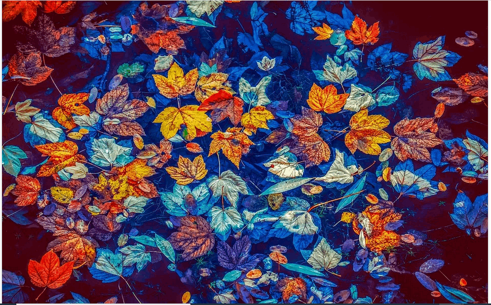 colored picture
